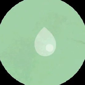 hyperhidrosis