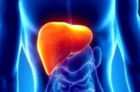 hepatice