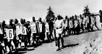 afrique