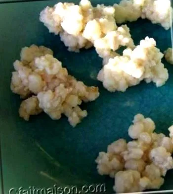 tejkefir