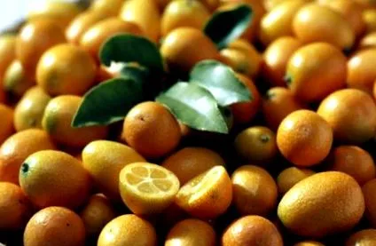 előnyök kumquat