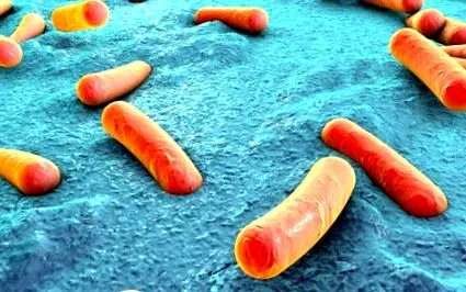 simptom klebsiella