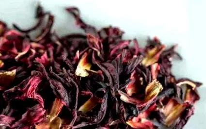 infuzie