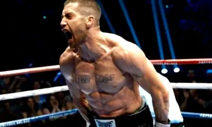 boxer