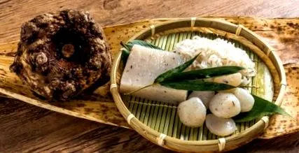 konjac konjac