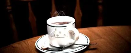 absorbției fierului