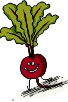 cékla cékla