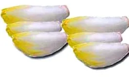endive endive
