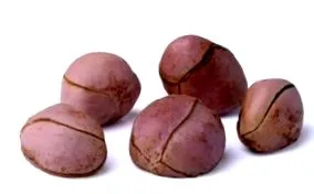 phytalliance hogy kola