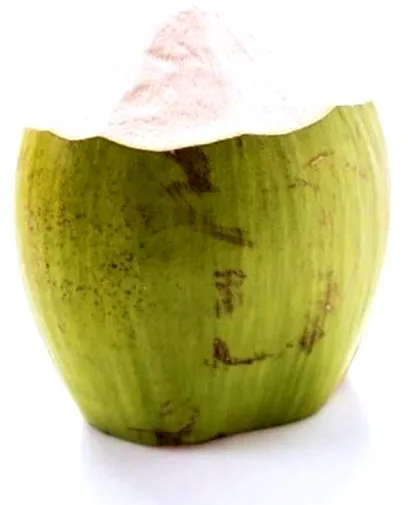 cocos cocos
