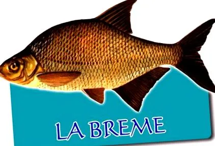 gallja