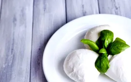 mozzarella