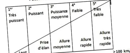 fordulat perc