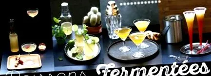 louis fermentate