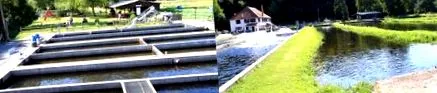 Európai Unió