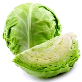 visszatérés