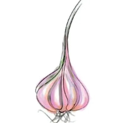 hipertensiunii