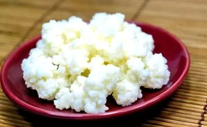 kefir