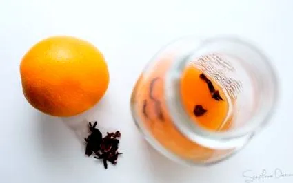 erjesztett ital