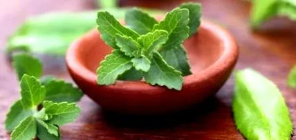 stevia calorie