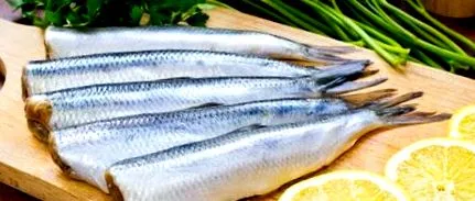 hering