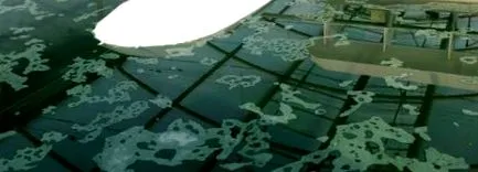 erényekkel spirulina