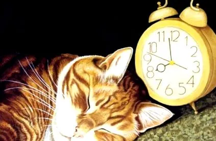 които живеят
