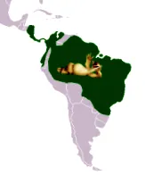 hetente egyszer