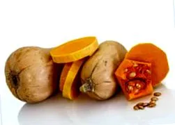 vegetáriánus