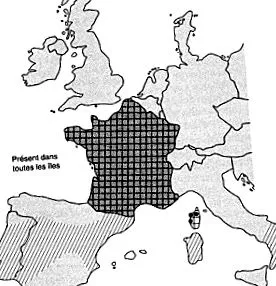 éjszakai életűek