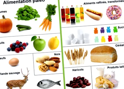 paleo