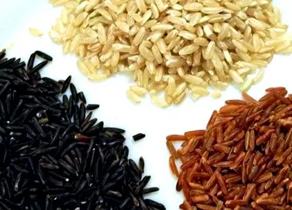 nutriție