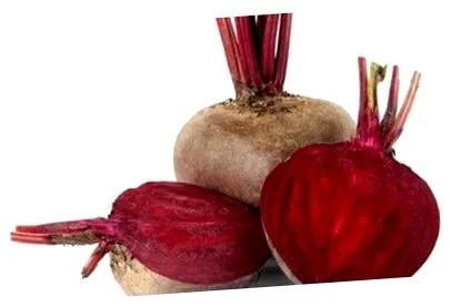 dieta