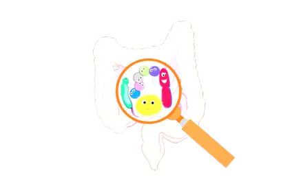 microbiota