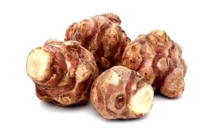 csicsóka