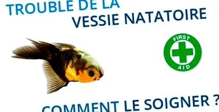 poisson
