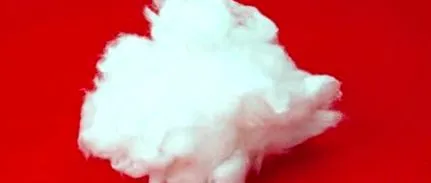 fetele