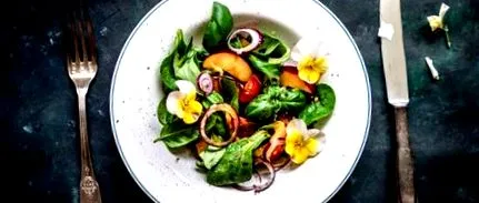 dieta