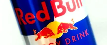 bull