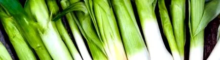 lunii fructe