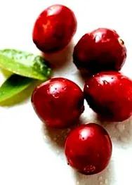 antioxidáns számára
