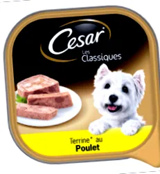 teszt