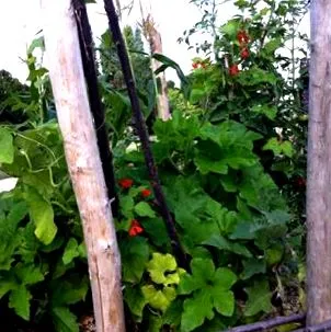 ancestrală