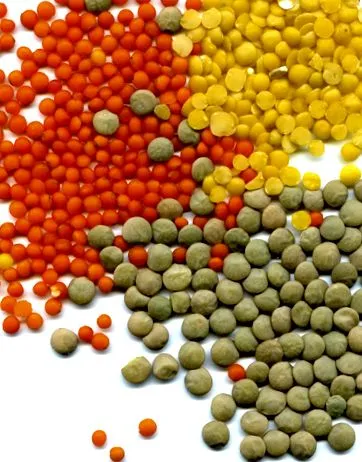 Обсерваторія продуктів