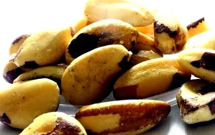 tulajdonsága