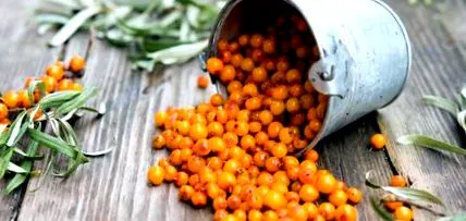 cătină