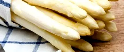 spárga
