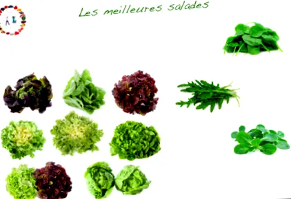 pentru salate