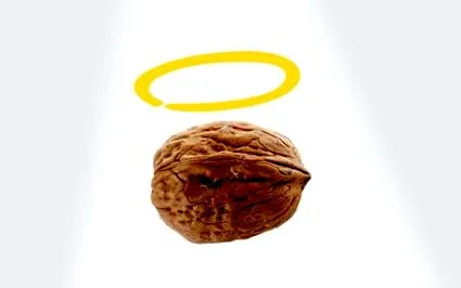 dióolaj