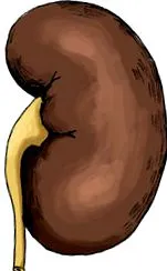 étrend